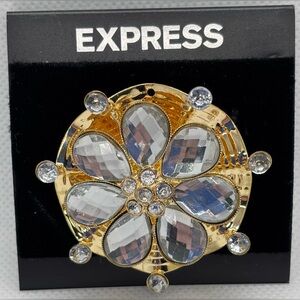 New! Express Gold and Silver Gemstone Brooch